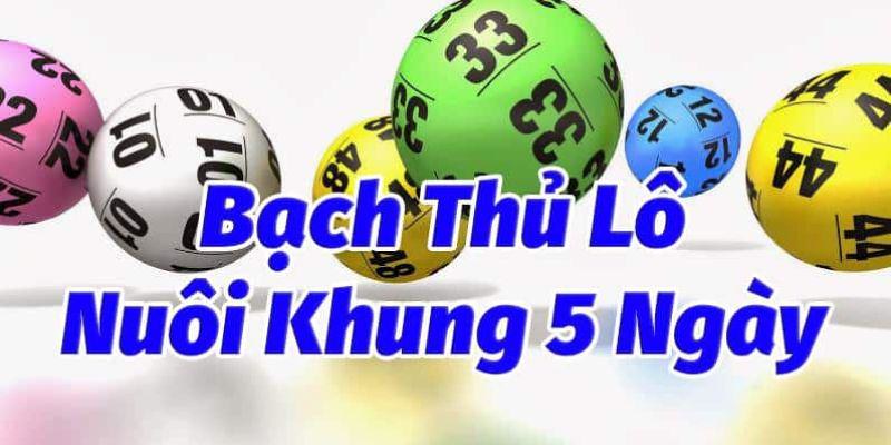 Nuôi khung 5 ngày bạch thủ